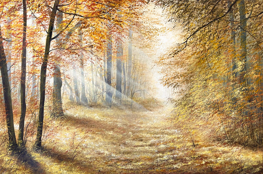Sound of Nature RESERVED